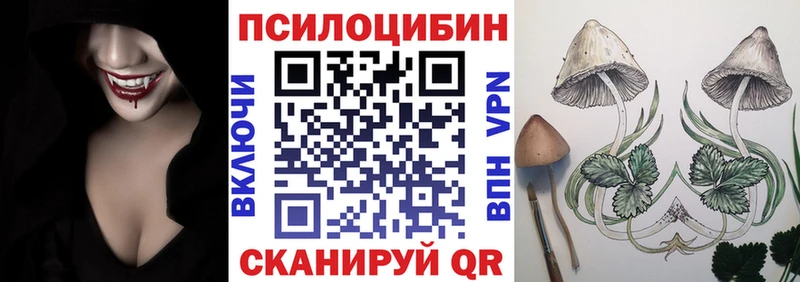 Купить  Аркадак  Галлюциногенные грибы ЛСД 